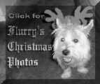 Click for Christmas 1999.