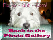 Back to Flurry's Photo Gallery.